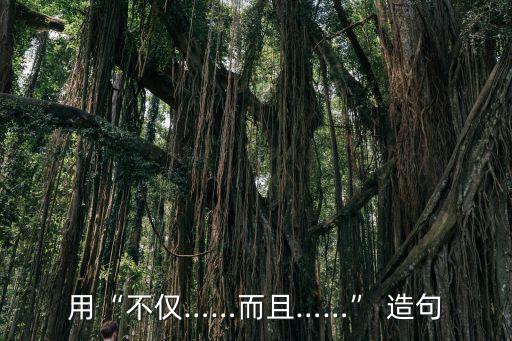 用“不僅……而且……” 造句