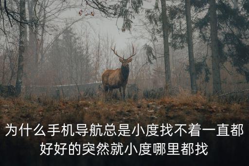 小度語音導航地圖，語音導航地圖