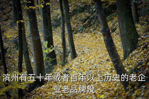 濱州有五十年或者百年以上歷史的老企業老品牌沒