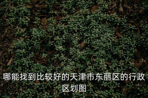 哪能找到比較好的天津市東麗區的行政區劃圖