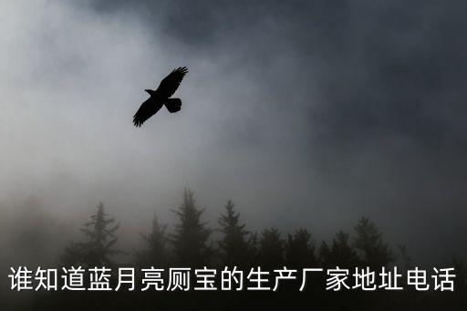 誰知道藍(lán)月亮廁寶的生產(chǎn)廠家地址電話