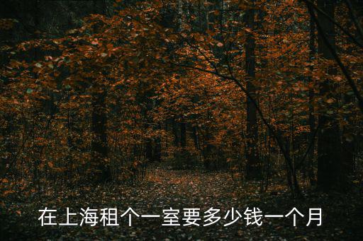 在上海租個一室要多少錢一個月