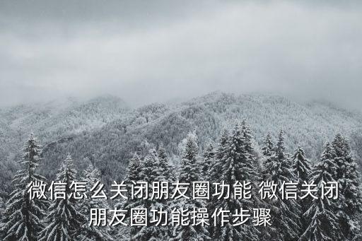  微信怎么關(guān)閉朋友圈功能 微信關(guān)閉朋友圈功能操作步驟