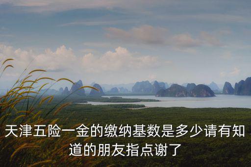 天津五險一金的繳納基數是多少請有知道的朋友指點謝了