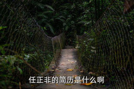 任正非的簡歷是什么啊
