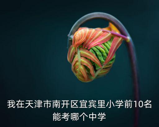 我在天津市南開(kāi)區(qū)宜賓里小學(xué)前10名能考哪個(gè)中學(xué)