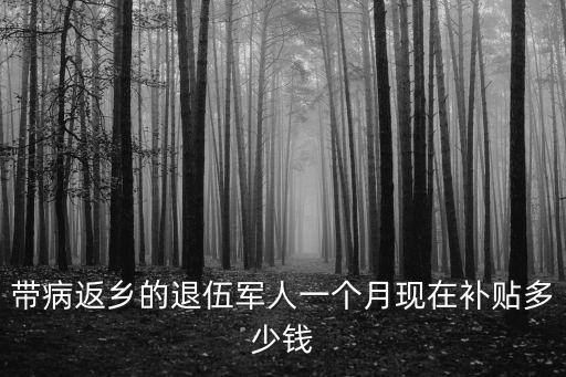 帶病返鄉的退伍軍人一個月現在補貼多少錢