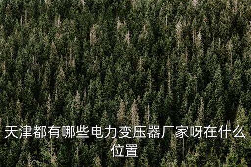 天津都有哪些電力變壓器廠家呀在什么位置