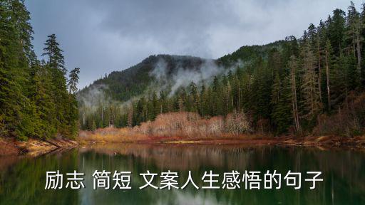  勵志 簡短 文案人生感悟的句子
