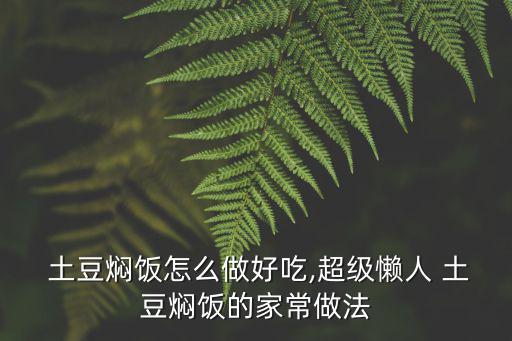  土豆燜飯怎么做好吃,超級懶人 土豆燜飯的家常做法