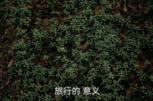 旅行意義,選擇旅行需要多大的壓力才能釋放