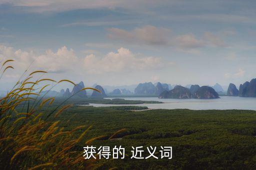 獲得的 近義詞