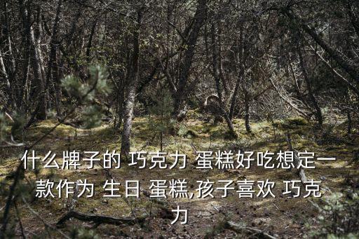 什么牌子的 巧克力 蛋糕好吃想定一款作為 生日 蛋糕,孩子喜歡 巧克力