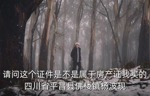 成都市最新任免公示楊波，楊波查敏到哪了