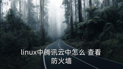  linux中騰訊云中怎么 查看 防火墻