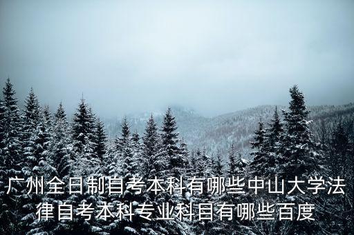 廣州全日制自考本科有哪些中山大學(xué)法律自考本科專業(yè)科目有哪些百度