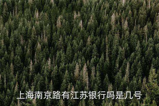 上海南京路有江蘇銀行嗎是幾號