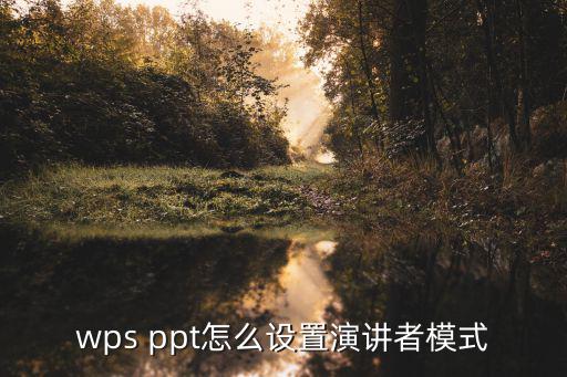 wps ppt怎么設(shè)置演講者模式