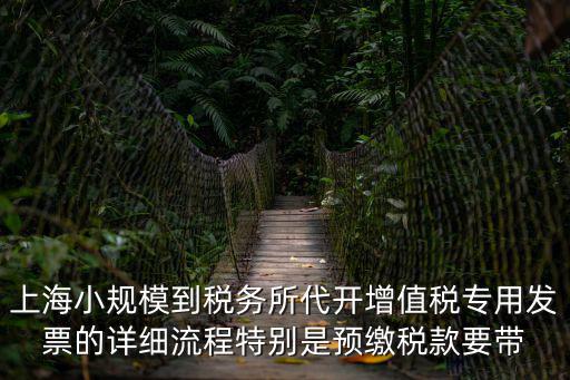 上海小規模到稅務所代開增值稅專用發票的詳細流程特別是預繳稅款要帶