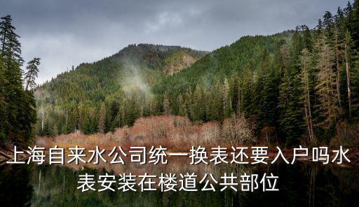上海自來水公司統一換表還要入戶嗎水表安裝在樓道公共部位