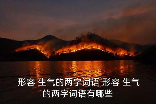  形容 生氣的兩字詞語 形容 生氣的兩字詞語有哪些