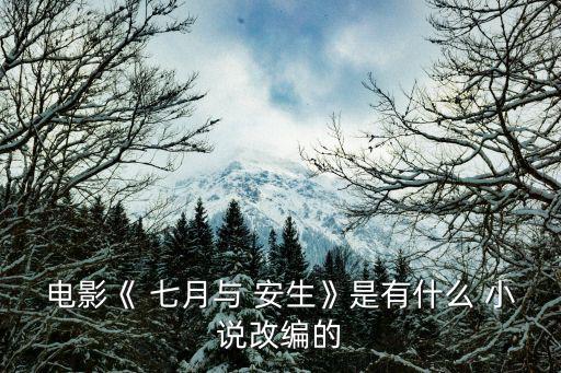 七月與安生小說,武漢出現第一起確診病例全市封城