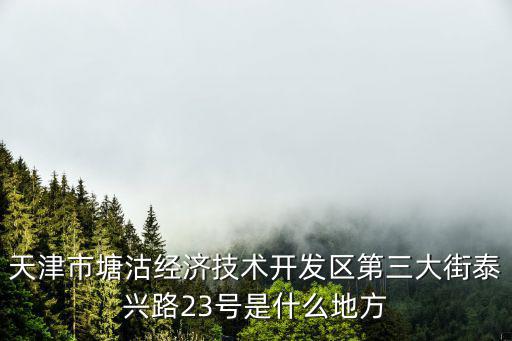 天津市河北區(qū)泰興路規(guī)劃圖紙，天津市塘沽經(jīng)濟(jì)技術(shù)開(kāi)發(fā)區(qū)第三大街泰興路23號(hào)是什么地方