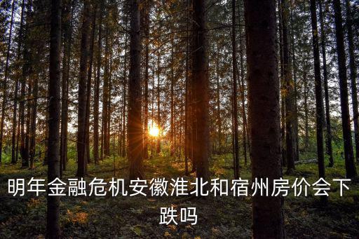 如何看待安徽的房價(jià)暴跌，明年金融危機(jī)安徽淮北和宿州房價(jià)會(huì)下跌嗎
