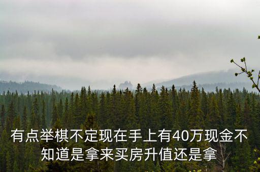 有點(diǎn)舉棋不定現(xiàn)在手上有40萬現(xiàn)金不知道是拿來買房升值還是拿