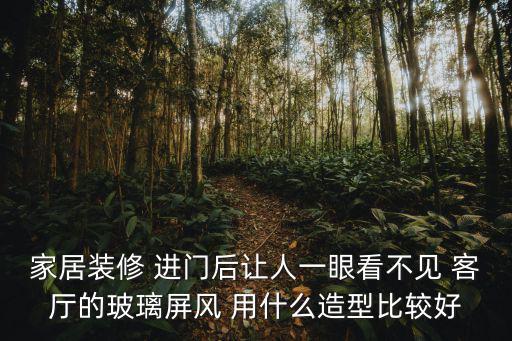 家居裝修 進門后讓人一眼看不見 客廳的玻璃屏風 用什么造型比較好