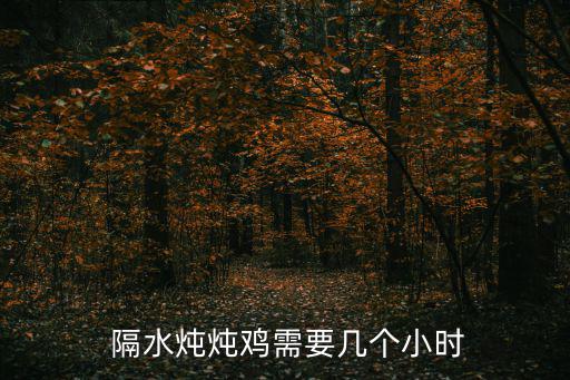  隔水燉燉雞需要幾個(gè)小時(shí)