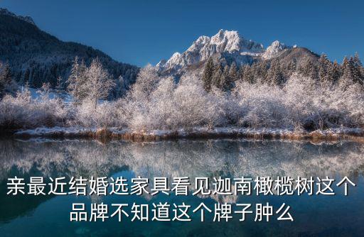 成都市橄欖樹布藝家居有限公司，橄欖樹家具品牌