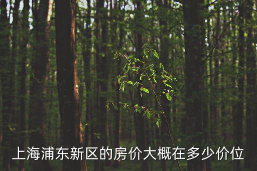 上海浦東新區的房價大概在多少價位