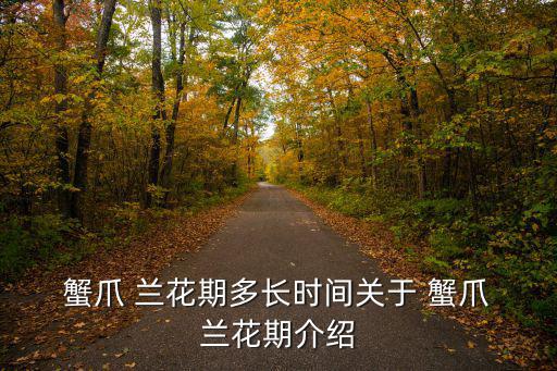 蟹爪蘭花期,蟹爪蘭花開花時間從9月開始可持續到4月