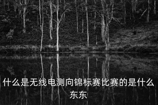 什么是無線電測向錦標賽比賽的是什么東東