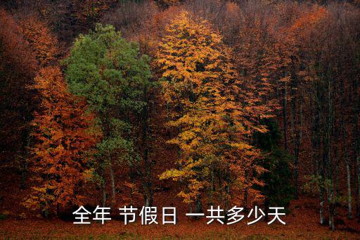 全年法定節假日一共多少天,第二條全體公民假期:新年放假一天