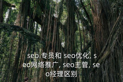 seo 專員和 seo優化, seo網絡推廣, seo主管, seo經理區別