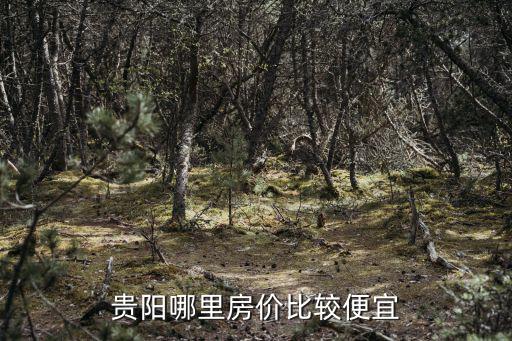 貴州哪個縣城房價低，貴州哪個縣房價便宜景點也好