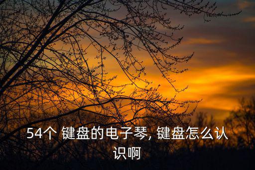 認(rèn)識鍵盤,世界音樂界共認(rèn)是88鍵鍵盤