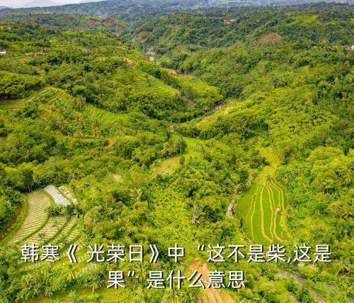 韓寒《 光榮日》中“這不是柴,這是果”是什么意思