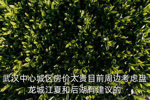 武漢中心城區房價太貴目前周邊考慮盤龍城江夏和后湖有建議的