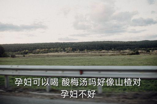  孕婦可以喝 酸梅湯嗎好像山楂對 孕婦不好