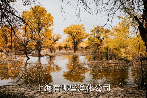 上海有哪些凈化公司