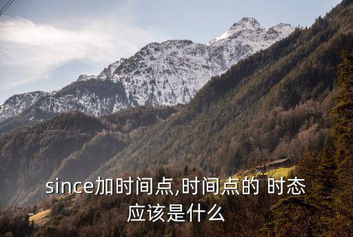 since加時間點,時間點的 時態應該是什么