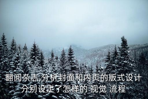 翻閱雜志,分析封面和內(nèi)頁的版式設(shè)計(jì)分別設(shè)定了怎樣的 視覺 流程