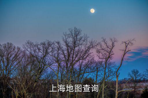 上海地圖查詢