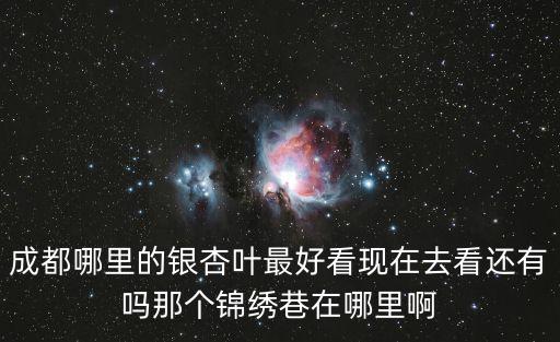 成都市哪條街銀杏樹美，成都哪看銀杏最美