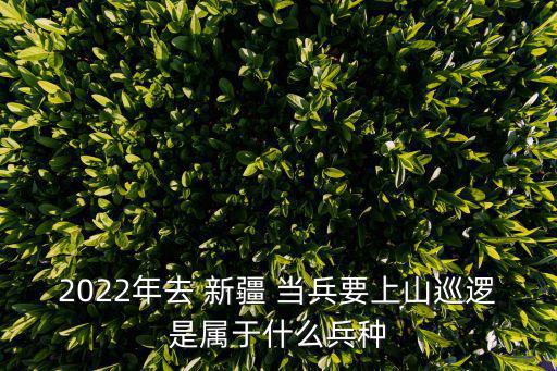 2022年去 新疆 當兵要上山巡邏是屬于什么兵種