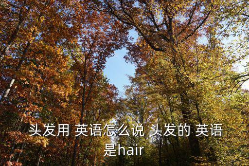  頭發用 英語怎么說 頭發的 英語是hair