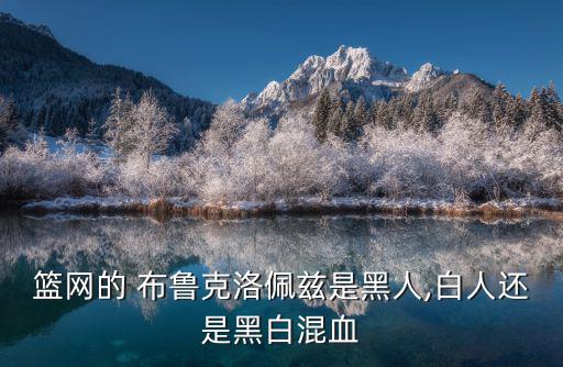 籃網的 布魯克洛佩茲是黑人,白人還是黑白混血